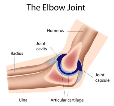 Arthroscopic Elbow Synovectomy by OrangeCountySurgeons